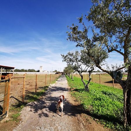 Villa Quinta Do Louredo - Évora Esterno foto