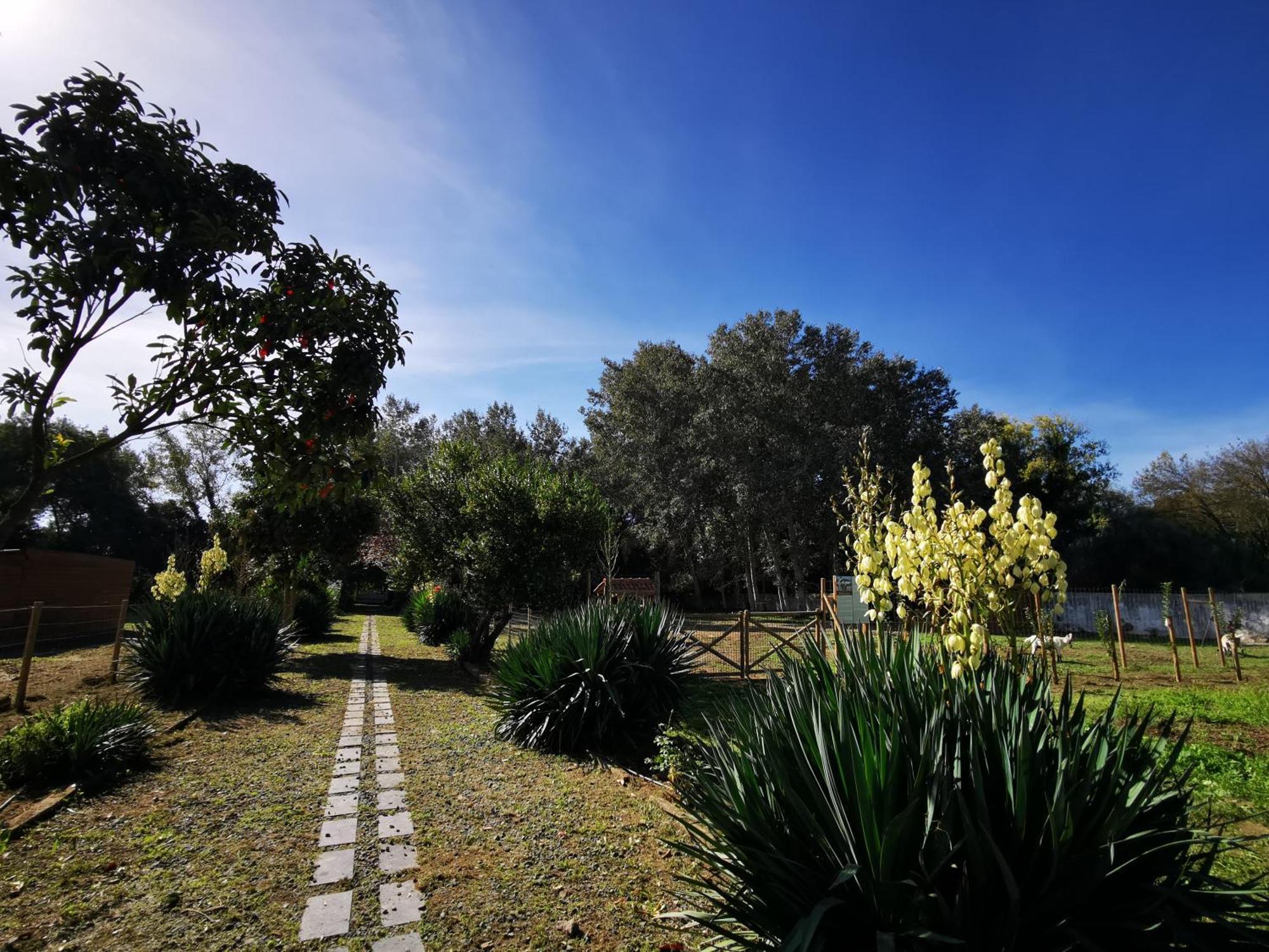 Villa Quinta Do Louredo - Évora Esterno foto